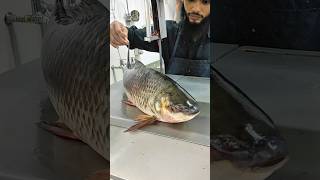 How To Cutting Amazing Live Fish Cutting Skills Fish Market Giant Fis Cutting Skills
