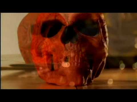 Nothing Defeats The Skull Video