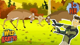 A Deer Showdown Creature Combat Animals For Kids Wild Kratts
