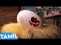 Part 2 [It's My Life] |Angry Birds Movie Tamil| Angry Birds Movie| Anime Area
