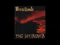 Benümb - Path Of The Righteous