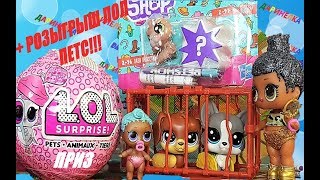 СЕМЕЙКА ЛОЛ ХОЧУ ПИТОМЦА!+КОНКУРС ЛОЛ! Куклы ЛОЛ мультики #LOL SURPRISE #куклы #мультики