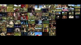 All Shaun The Sheep Episodes Played At The Same Time Do Not Steal This Video