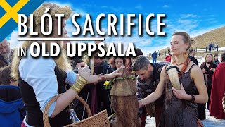 Spring Blot Sacrifice | Norse Paganism in Sweden