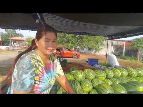 นอนในรถ ทริป ระนอง พะโต๊ะ วันที่สองเดินทางสู่คุระบุรี พังงา หาที่เที่ยววนไป