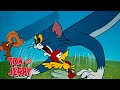 Tom & Jerry | Mischievous Moments | @GenerationWB