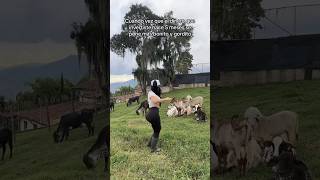 Pocos Entenderán Elizabeth Lopez Sanchez