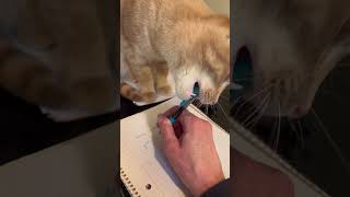 High On The Nip