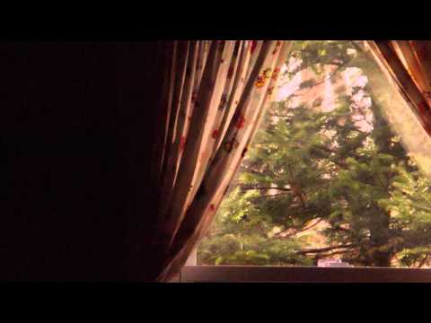 Cabin In The Burn Video