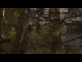 Cabin In The Burn Video preview