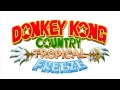 Donkey Kong Country Tropical Freeze - Aquatic Ambience Theme