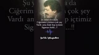 Müslüm Gürses