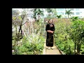 Lời hẹn tình quê - Tân Nhàn