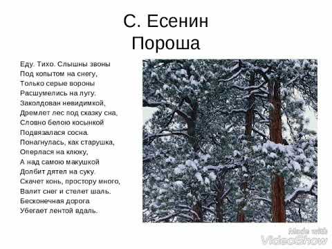 Анализ стих с есенин пороша Анализ стих с есенин пороша