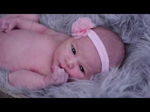 Family and Celebration Videos