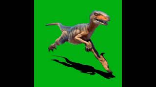 Dinosaurbest Green Screen For Video Editing