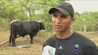 aHvSxg3LqrA Video Image