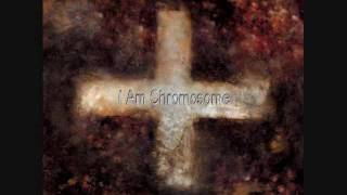 Watch Martin Grech I Am Chromosome video