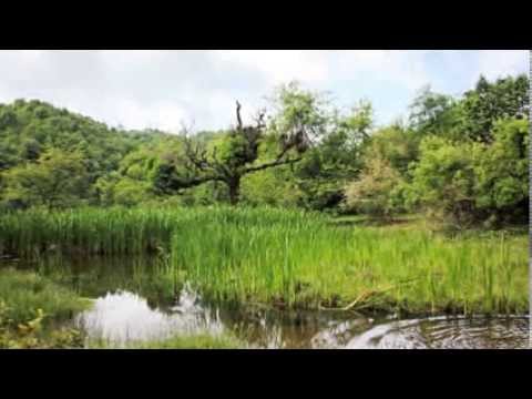 Nepali Folk tune on Flute (Bansuri)