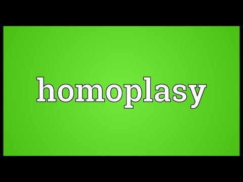 Header of homoplasy