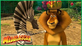 Marty E Alex Se Perdoam Madagascar 2 A Grande Escapada Dreamworks Madagascar Em Português