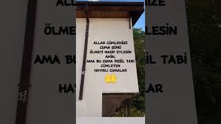 Hayirli Alar