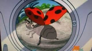 Find A Blue Erfly - Go, Diego, Go