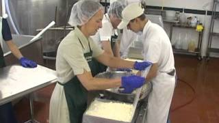 Artisan Cheese Making at September Farm Cheese