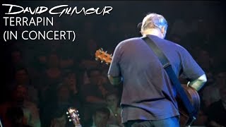 Watch David Gilmour Terrapin video
