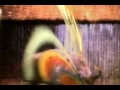 The Caulfield Beats - glitch::glitch::flame