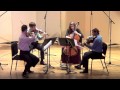 Alexander Borodin - String Quartet No. 2 in D Major - I. Allegro moderato (Kontras Quartet)