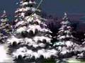 Donkey Kong Country