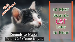 Sounds to Make Your Cat Come to You | 7 Sounds Cat Love to Hear(guaranteed)@CatD