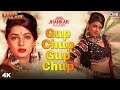 Gup Chup Gup Chup Jhankar | Mamta kulkarni | Ila Arun | Alka Yagnik | Karan Arjun | Item Song