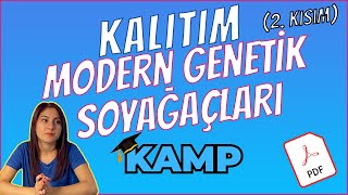 KAMP 2024 | Kalıtım - Modern Genetik (2. Kısım) - Soyağaçları | TYT | 10. SINIF 