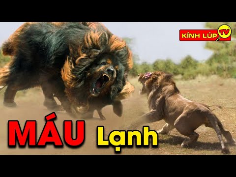🔥 Top 7 Vị Vua Uy Lực Nhất Trong Thế Giới Động Vật - Sư Tử Ấm Ức Đứng Thứ 2 Sau Kẻ Máu Lạnh Này