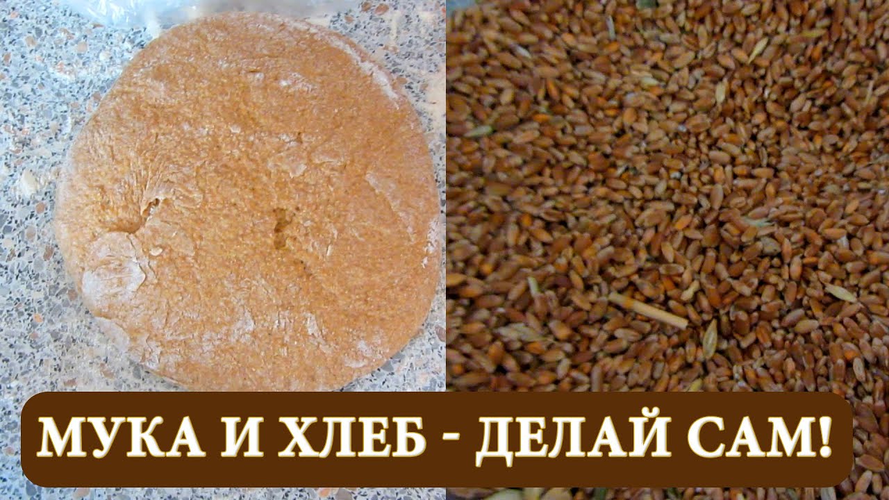 Цельнозерновая мука в домашних условиях из чего сделать Цельнозерновая мука в домашних условиях из чего сделать