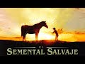El Semental Salvaje (2009) | Pelicula Completa | Connie Sellecca | Fred Ward | Miranda Cosgrove