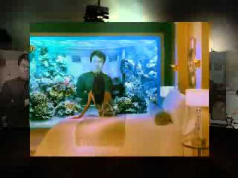 Djoker - Cinta Sebenarnya