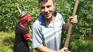 Cayir Biciyom Cayır.