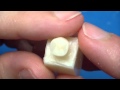 Segundo Pré-molar Inferior