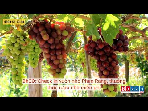 Tour du lịch Bình Ba Nha Trang 3N3Đ trọn gói chỉ 1790K