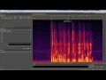 Adobe Audition -- Removing generic noises that run through entire clips