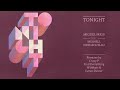 Miguel Migs 'Tonight feat. Meshell Ndegeocello (Wildkats Dark Room Remix)'