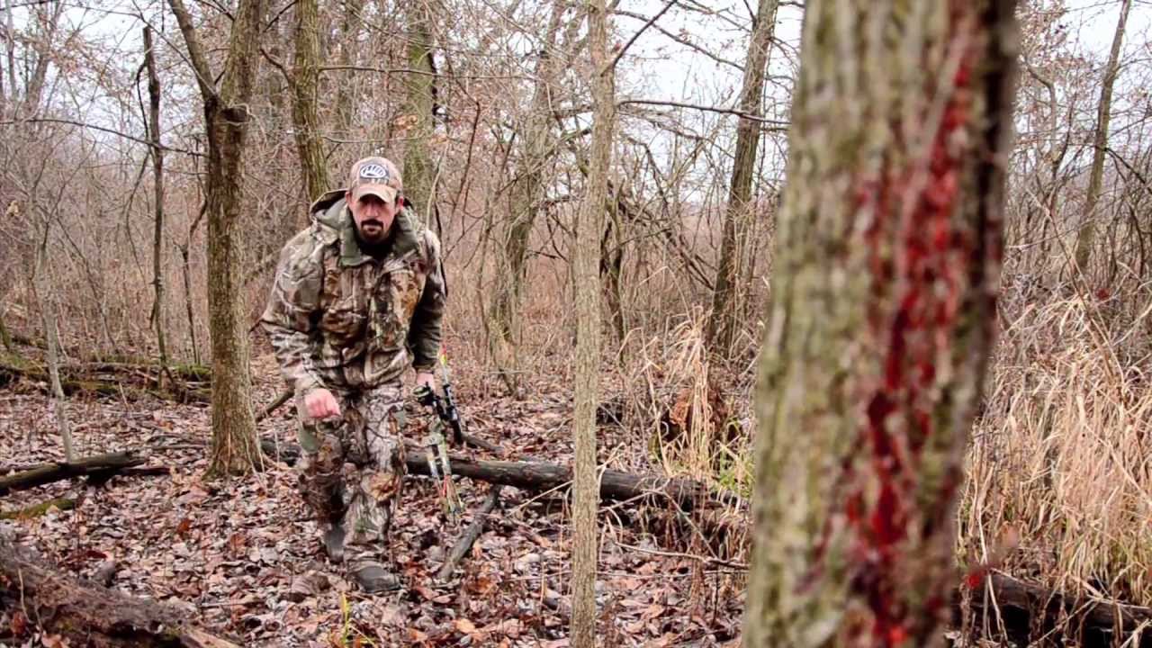 how to a deer tracking tracking wounded deer how to a deer tracking tracking wounded deer