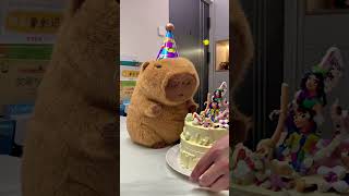 It Looks Like The Capybara Isnt Too Pleased With This Cake
