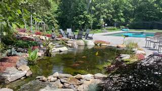 Koi Pond Filtration Upgraded Nexus 320 Automatic and Bead with Siev