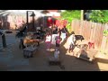 Canine Circus Class Spring Session