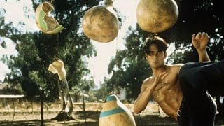 African Training Kickboxer 5 The Redemption, 1995