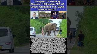 Trampled To Death By Elephant Billionaire Ceo Of Luxury Gondwana Pvt. Game Reserve Dead